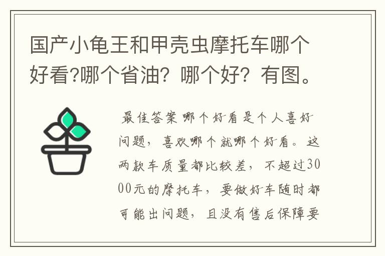 国产小龟王和甲壳虫摩托车哪个好看?哪个省油？哪个好？有图。