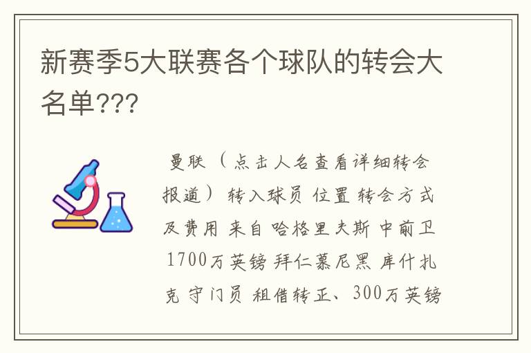 新赛季5大联赛各个球队的转会大名单???