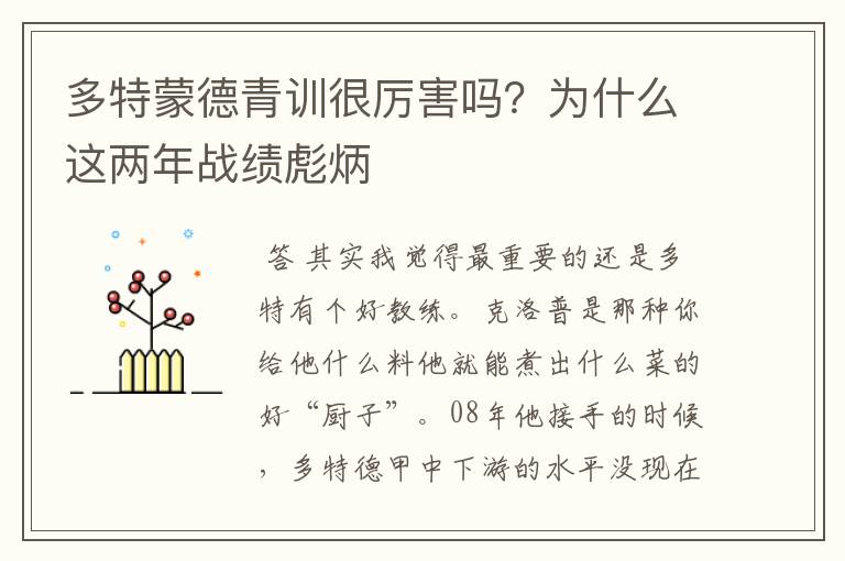 多特蒙德青训很厉害吗？为什么这两年战绩彪炳