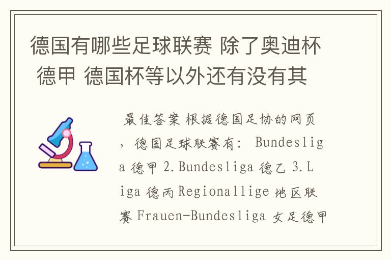 德国有哪些足球联赛 除了奥迪杯 德甲 德国杯等以外还有没有其他的？