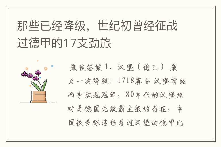 那些已经降级，世纪初曾经征战过德甲的17支劲旅