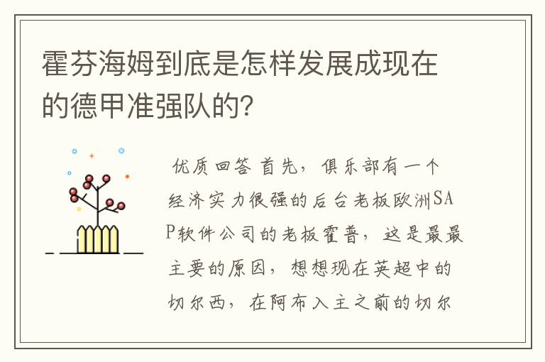 霍芬海姆到底是怎样发展成现在的德甲准强队的？