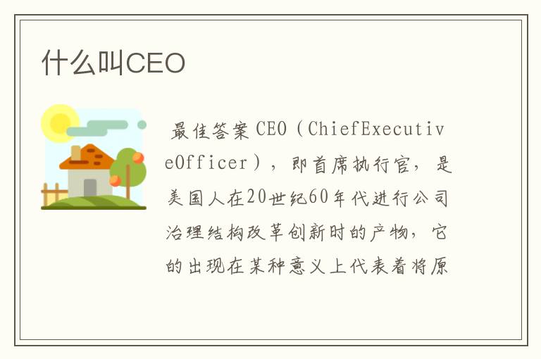 什么叫CEO