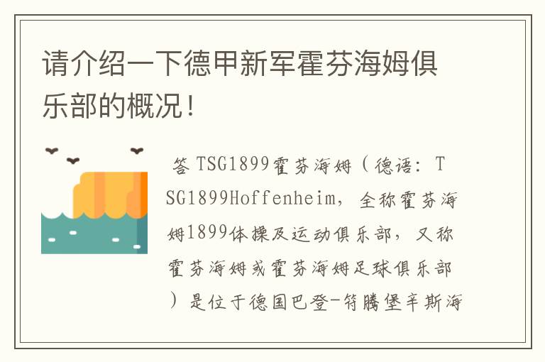 请介绍一下德甲新军霍芬海姆俱乐部的概况！