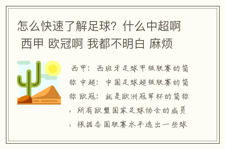 怎么快速了解足球？什么中超啊 西甲 欧冠啊 我都不明白 麻烦 有哪位特别了解足球的 跟我讲讲，多谢