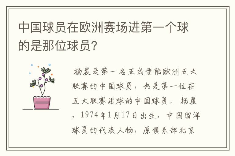 中国球员在欧洲赛场进第一个球的是那位球员？