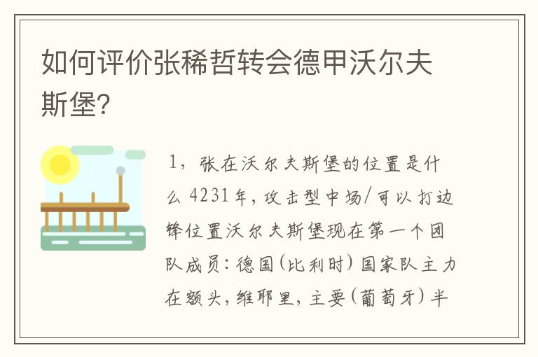 如何评价张稀哲转会德甲沃尔夫斯堡？