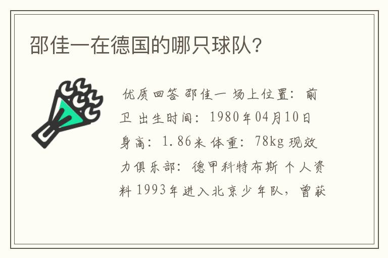 邵佳一在德国的哪只球队?