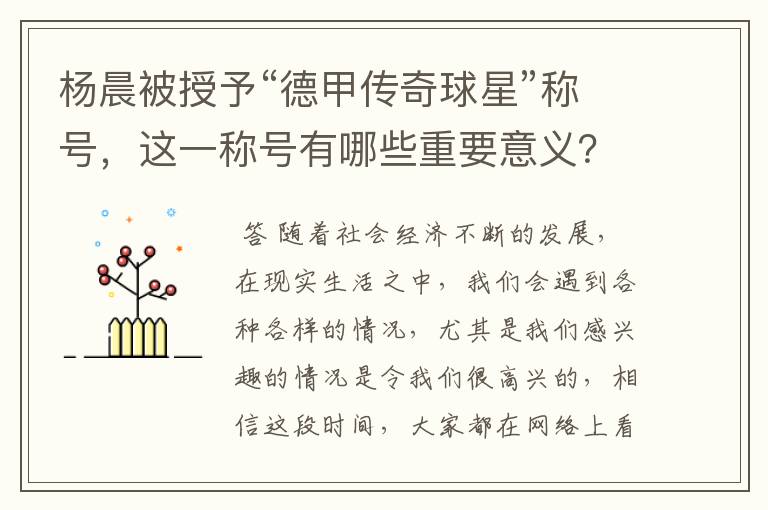 杨晨被授予“德甲传奇球星”称号，这一称号有哪些重要意义？