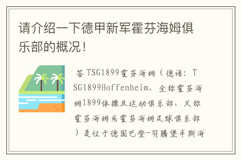 请介绍一下德甲新军霍芬海姆俱乐部的概况！