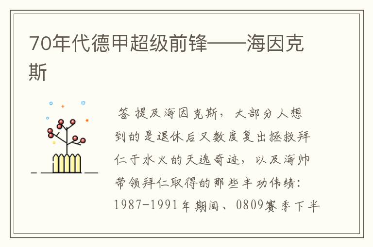 70年代德甲超级前锋——海因克斯