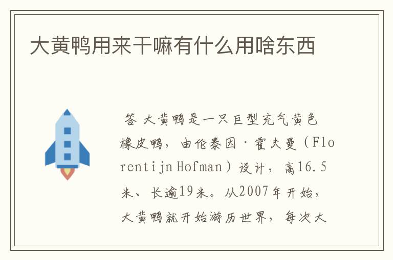 大黄鸭用来干嘛有什么用啥东西