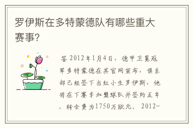 罗伊斯在多特蒙德队有哪些重大赛事？