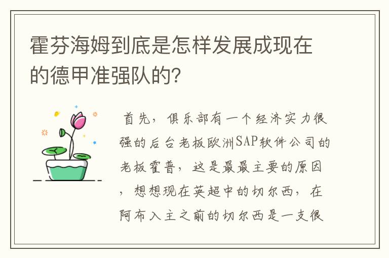 霍芬海姆到底是怎样发展成现在的德甲准强队的？