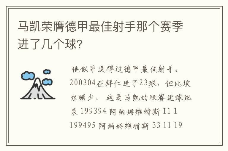 马凯荣膺德甲最佳射手那个赛季进了几个球？