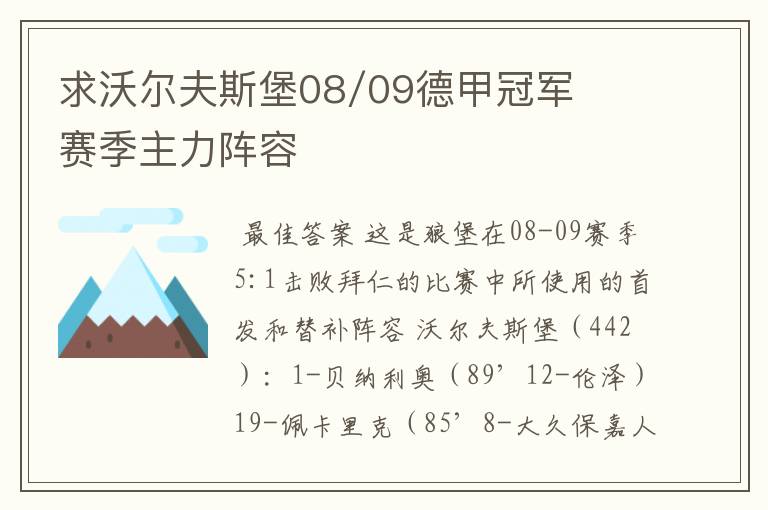 求沃尔夫斯堡08/09德甲冠军赛季主力阵容