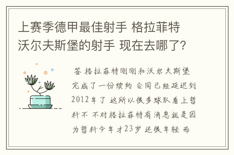 上赛季德甲最佳射手 格拉菲特 沃尔夫斯堡的射手 现在去哪了？