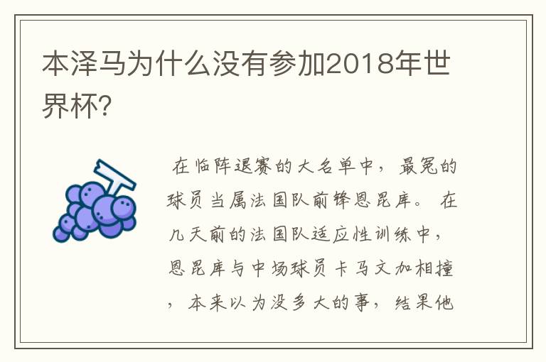 本泽马为什么没有参加2018年世界杯？