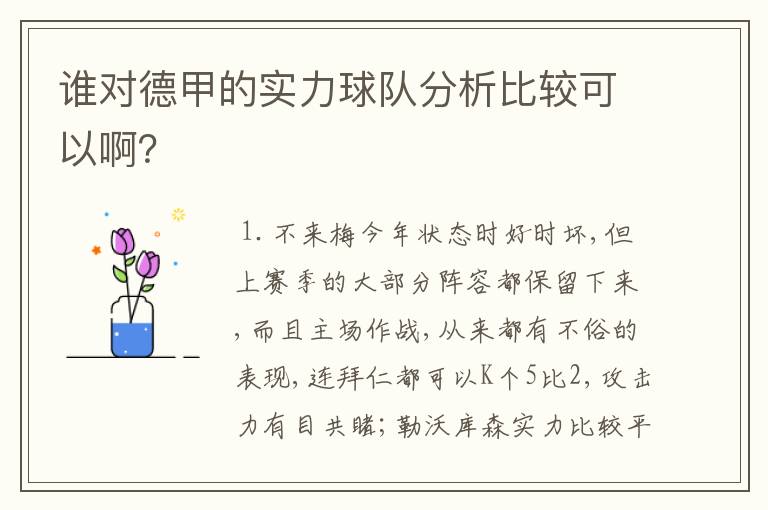 谁对德甲的实力球队分析比较可以啊？