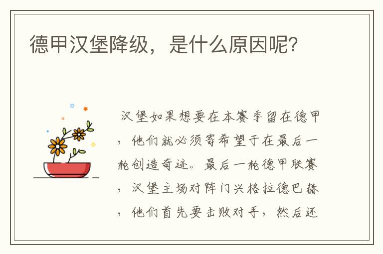 德甲汉堡降级，是什么原因呢？