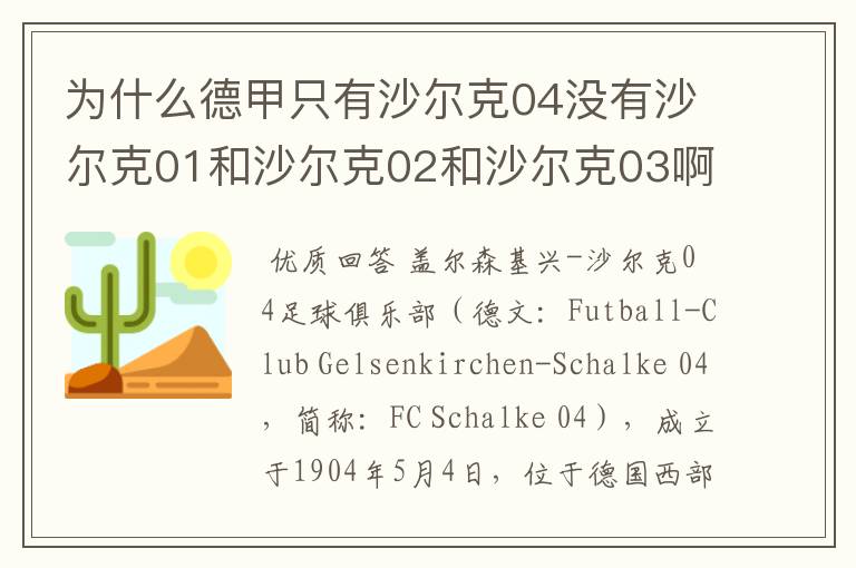 为什么德甲只有沙尔克04没有沙尔克01和沙尔克02和沙尔克03啊？