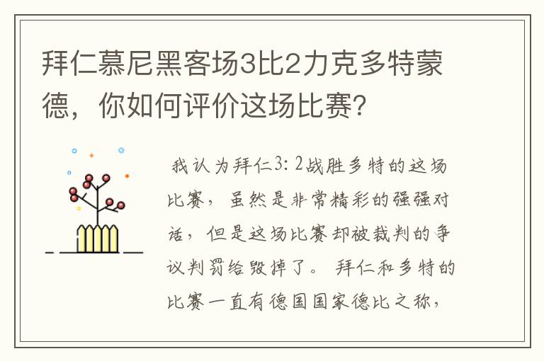 拜仁慕尼黑客场3比2力克多特蒙德，你如何评价这场比赛？