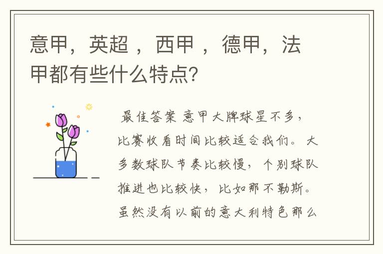 意甲，英超 ，西甲 ，德甲，法甲都有些什么特点？