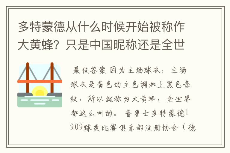 多特蒙德从什么时候开始被称作大黄蜂？只是中国昵称还是全世界范围都这么称呼