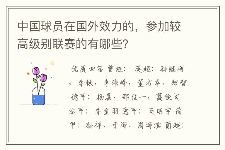 中国球员在国外效力的，参加较高级别联赛的有哪些？