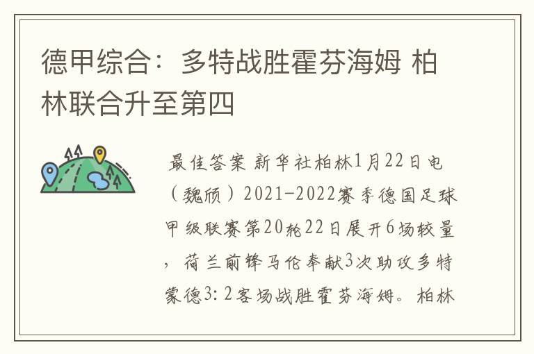 德甲综合：多特战胜霍芬海姆 柏林联合升至第四