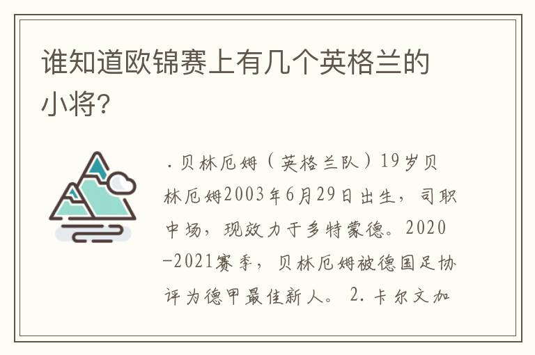 谁知道欧锦赛上有几个英格兰的小将?