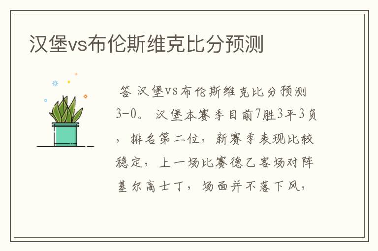 汉堡vs布伦斯维克比分预测