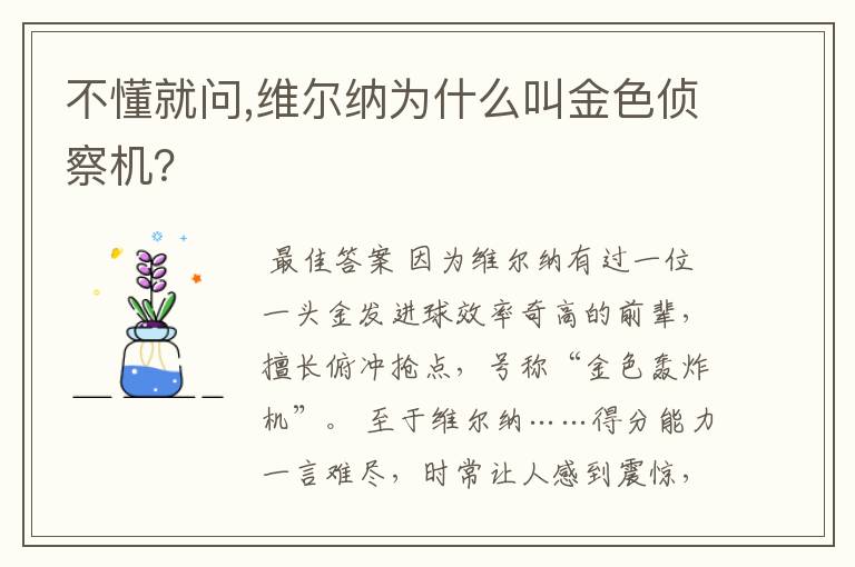 不懂就问,维尔纳为什么叫金色侦察机？