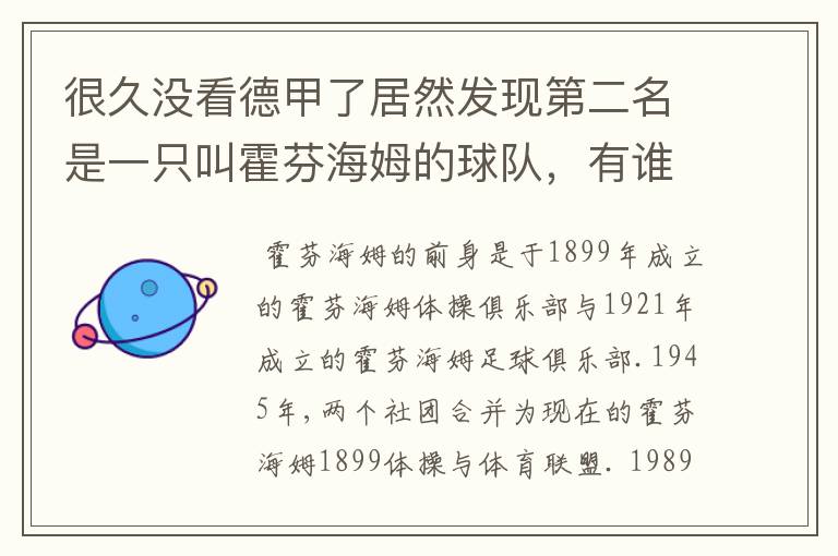 很久没看德甲了居然发现第二名是一只叫霍芬海姆的球队，有谁知道吗