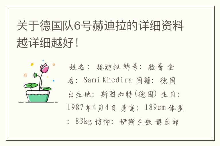 关于德国队6号赫迪拉的详细资料越详细越好！