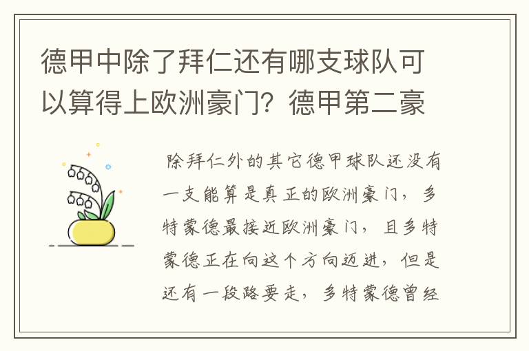 德甲中除了拜仁还有哪支球队可以算得上欧洲豪门？德甲第二豪门是谁？国家德比是拜仁对谁？