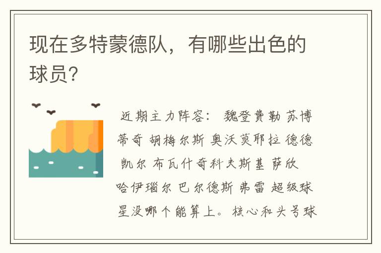 现在多特蒙德队，有哪些出色的球员？