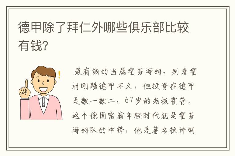 德甲除了拜仁外哪些俱乐部比较有钱？