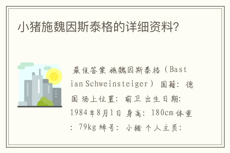 小猪施魏因斯泰格的详细资料？