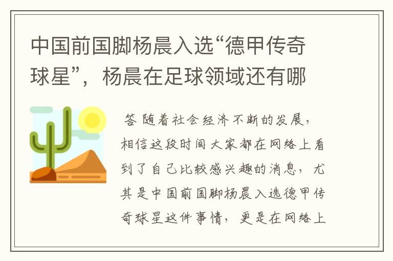 中国前国脚杨晨入选“德甲传奇球星”，杨晨在足球领域还有哪些成就？