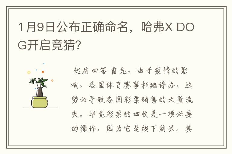 1月9日公布正确命名，哈弗X DOG开启竞猜？