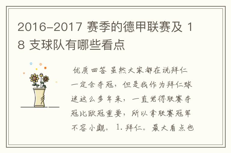 2016-2017 赛季的德甲联赛及 18 支球队有哪些看点