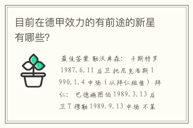 目前在德甲效力的有前途的新星有哪些？