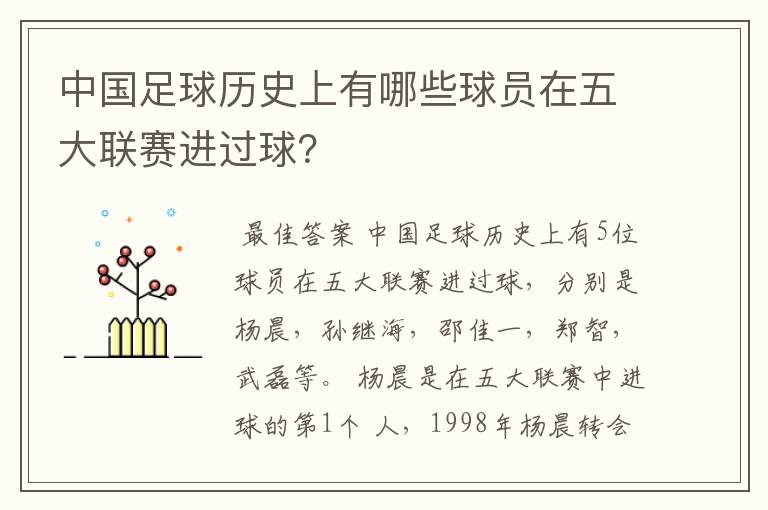 中国足球历史上有哪些球员在五大联赛进过球?