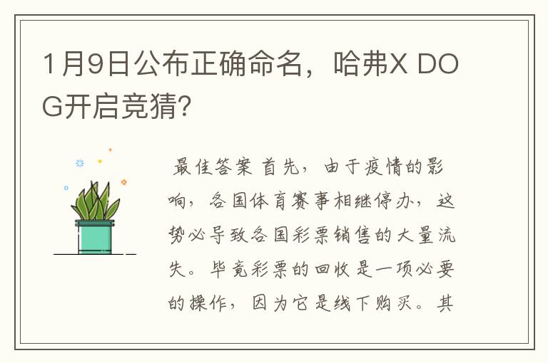 1月9日公布正确命名，哈弗X DOG开启竞猜？