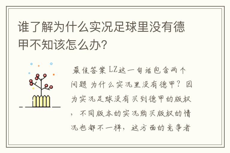 谁了解为什么实况足球里没有德甲不知该怎么办？