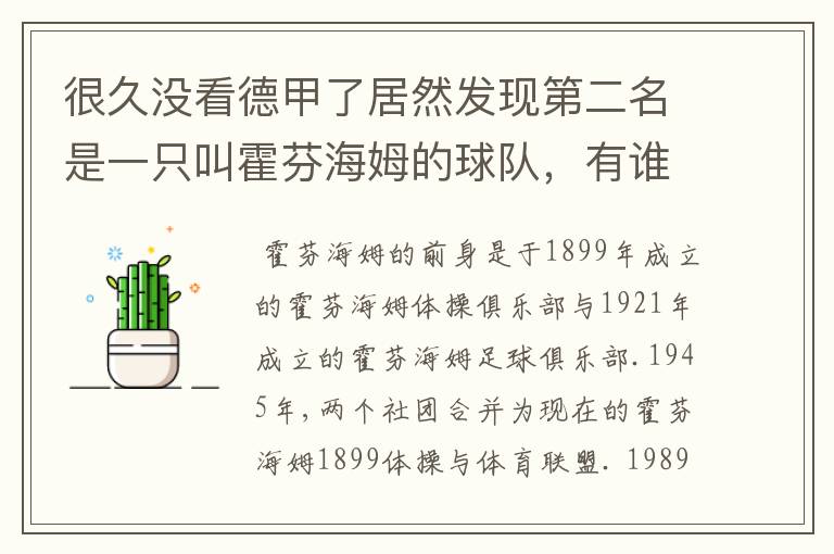 很久没看德甲了居然发现第二名是一只叫霍芬海姆的球队，有谁知道吗