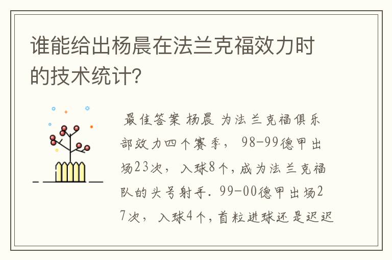 谁能给出杨晨在法兰克福效力时的技术统计？