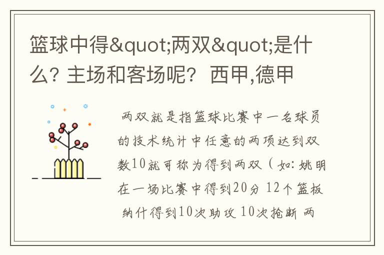 篮球中得"两双"是什么? 主场和客场呢?  西甲,德甲,意甲足球队有哪些?