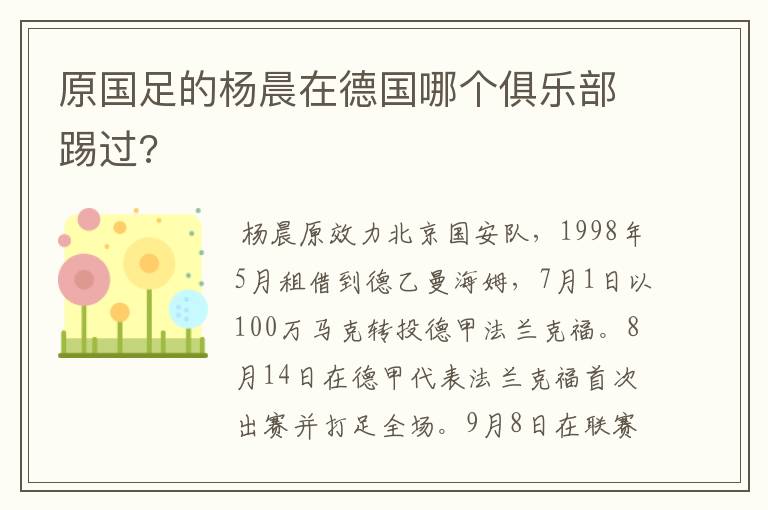 原国足的杨晨在德国哪个俱乐部踢过?